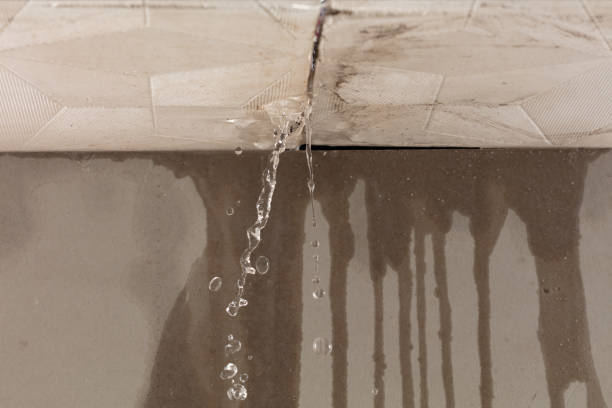 Professional Sewage Cleanup technician working in Edgerton, KS